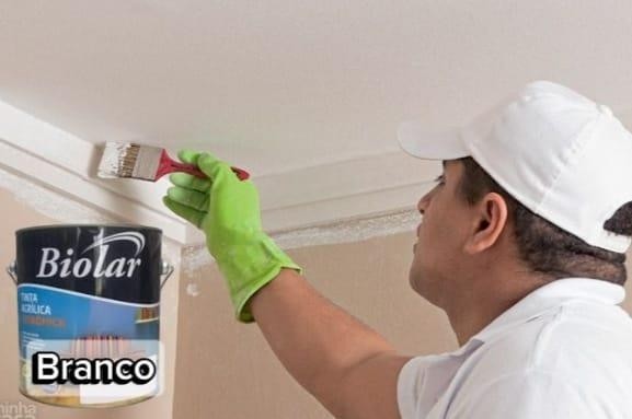 TINTA PARA GESSO BRANCA 3,6L BIOCOR - 3.6L