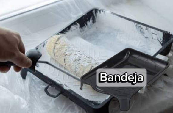 BANDEJA PLASTICA PRETA  TIGRE - UN